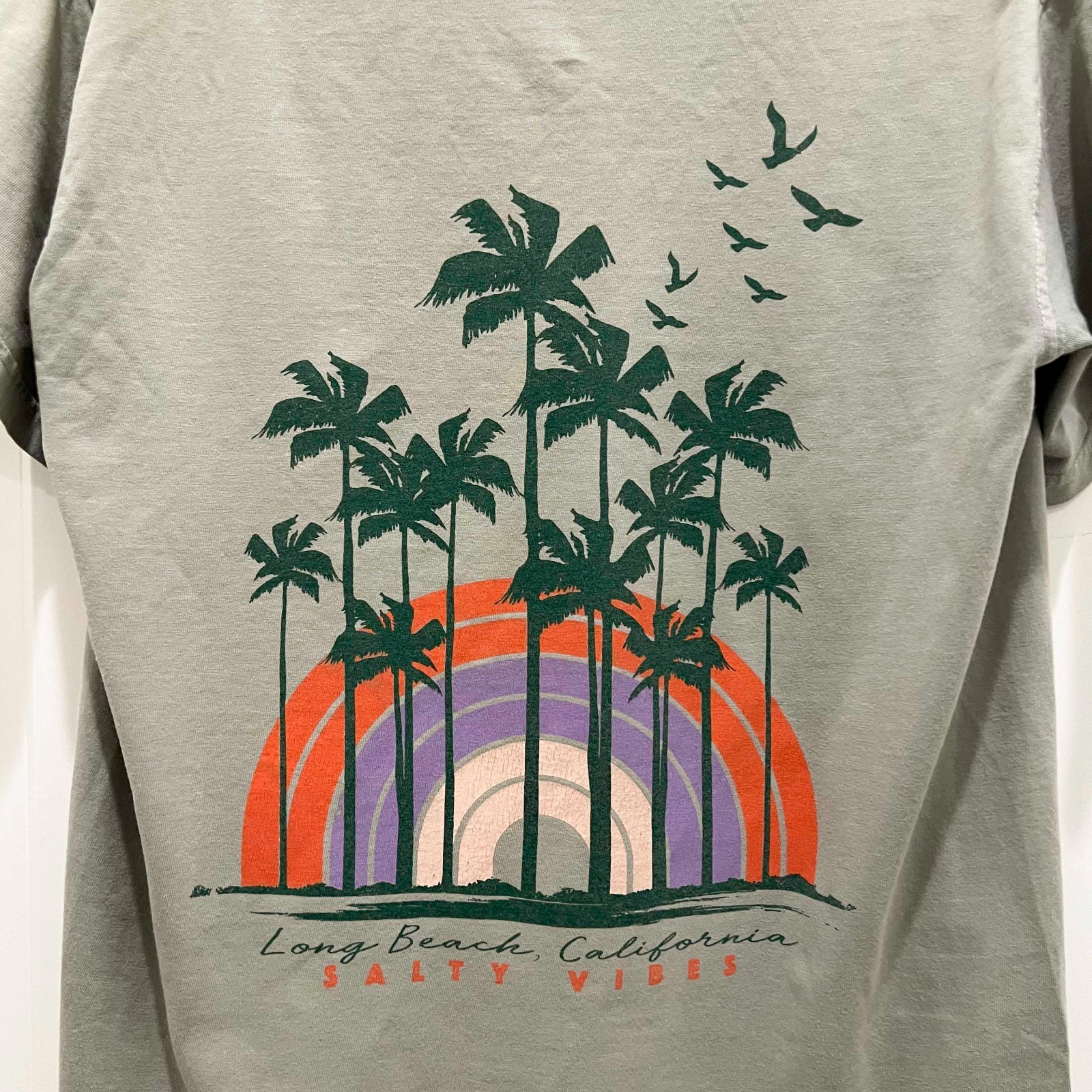 Long Beach California Salty Vibes Tee | Rainbow Palm Trees Seagull Graphic Tee