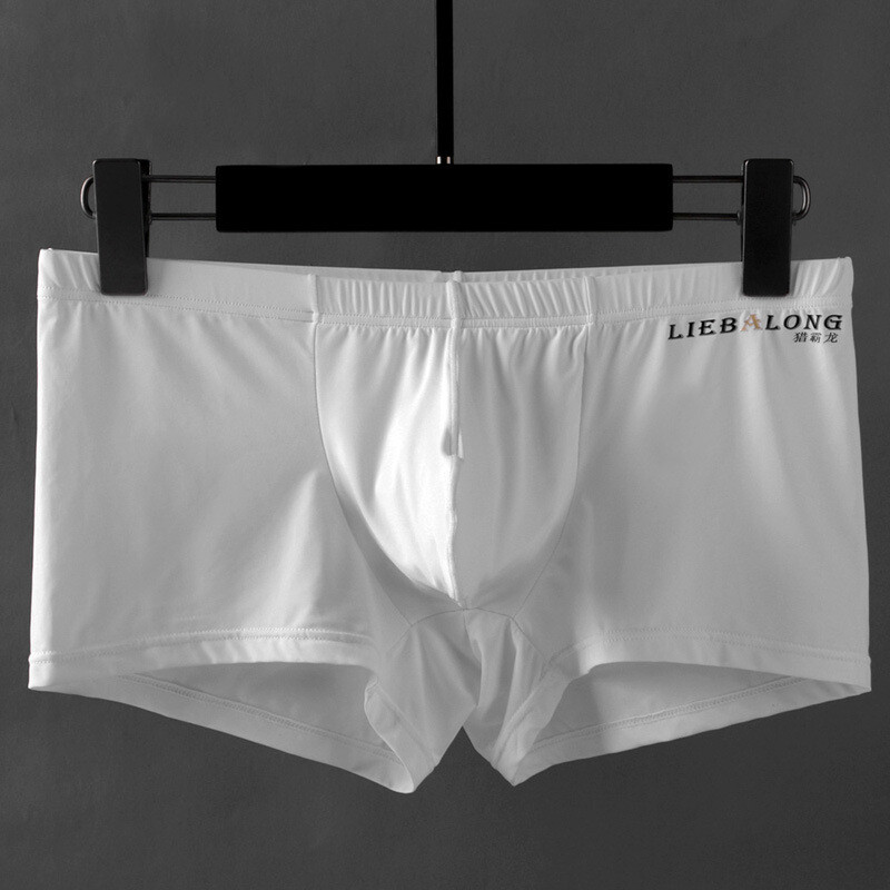Men’s Underwear Boxer Briefs Ice Silk Shorts Panties Bulge Pouch Underpants 🔥