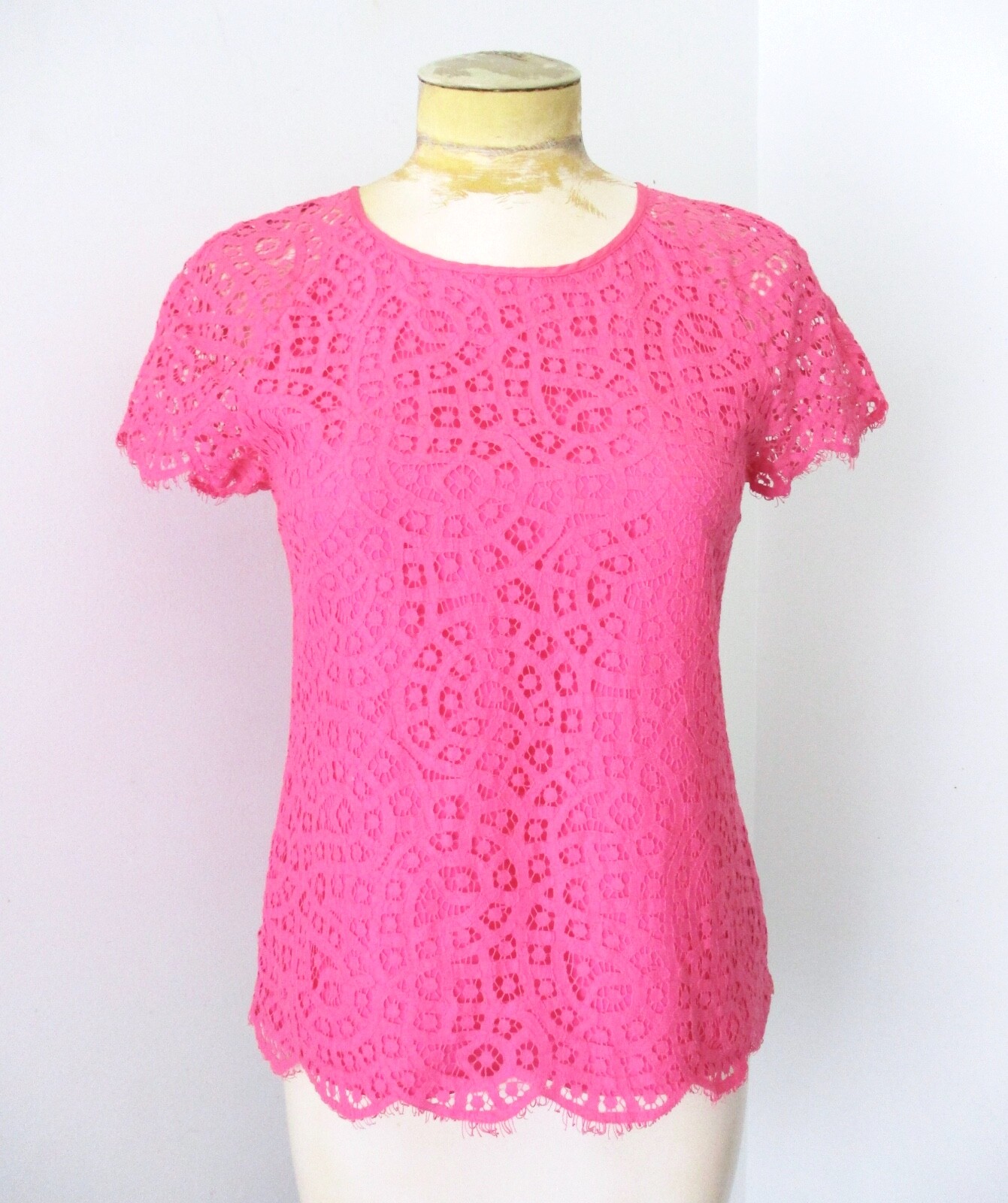 VGC J Crew Pink Sheer Cutwork Lace Top Blouse Keyhole Back Fringe Lined Sz 0