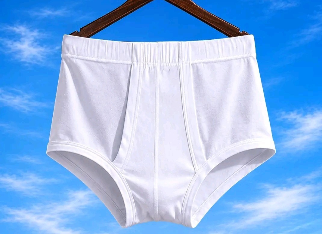 8 MEN’S 100% EGYPTIAN COTTON WHITE CLASSIC BRIEFS FULL RISE MADE IN EGYPT NEW