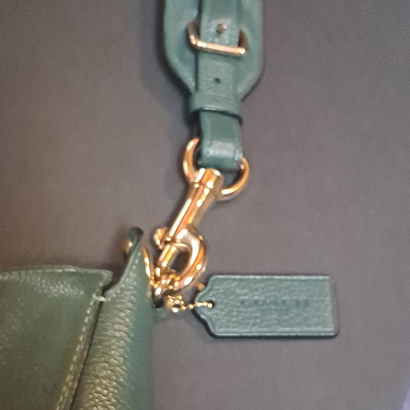 Coach Green Pebbled Small Crescent Shoulder Bag Zip, Gold Hardware, Strap
