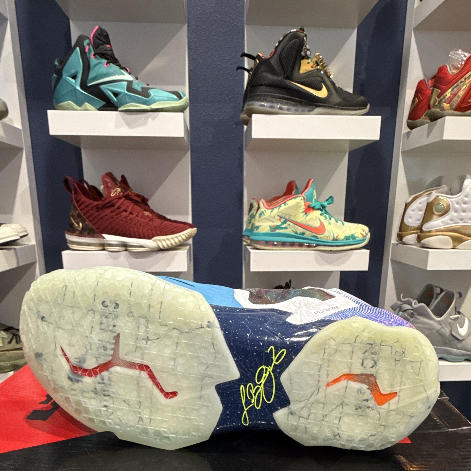 Nike LeBron 11 Premium What The LeBron Multicolor 650884-400 2014