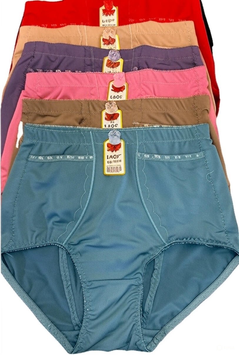 2 or 6 High Waisted Briefs Girdles Panties Tummy Control 020 Travel Safe Pocket