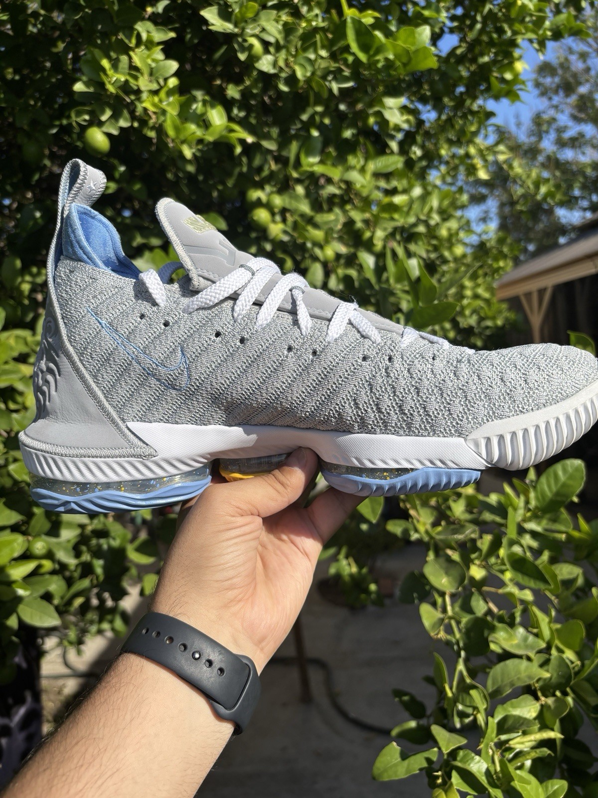 Nike LeBron 16 Men’s Mid Top Basketball Sneakers Cushioned Lace-Up Lion