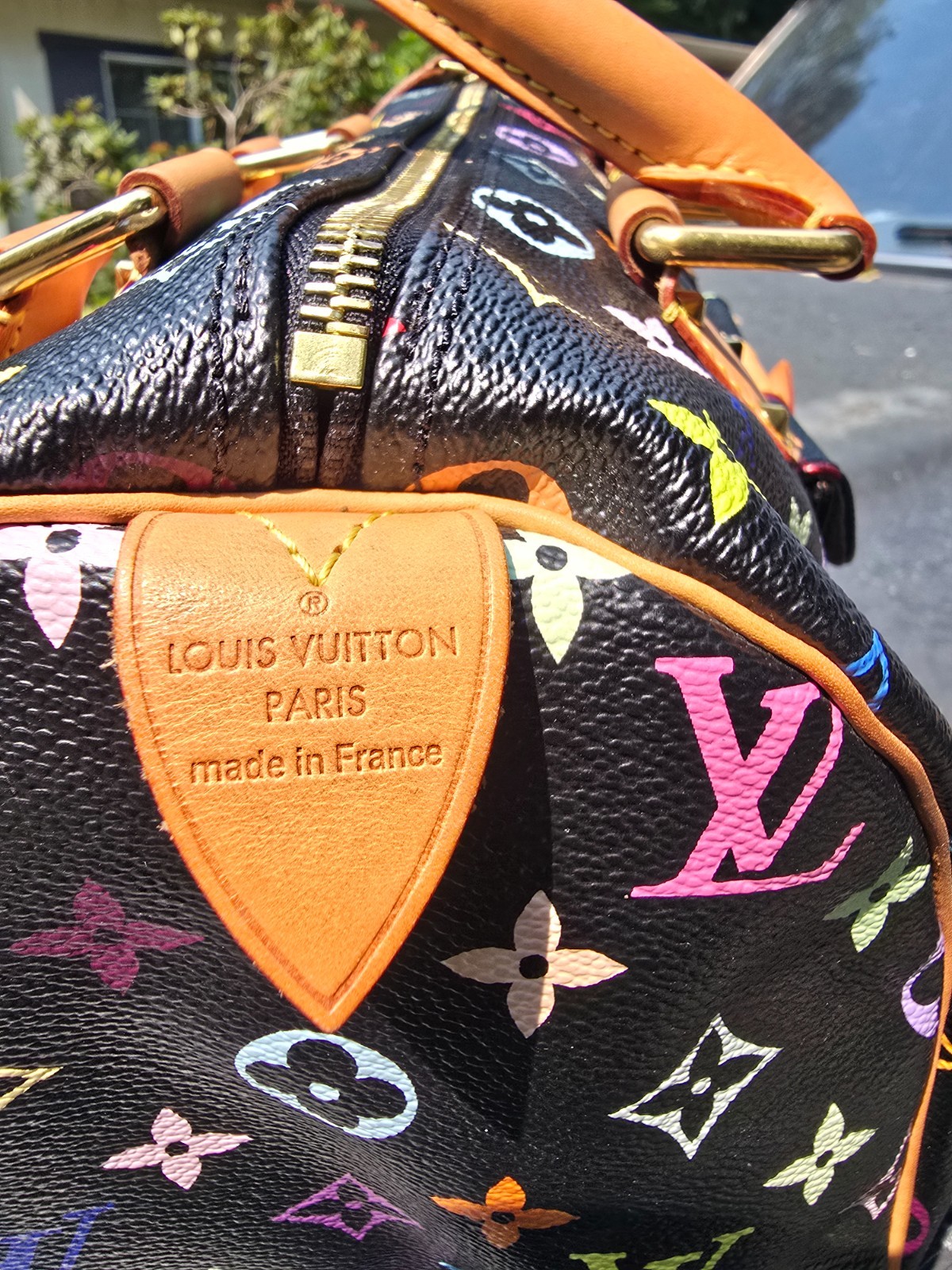 Louis Vuitton Takashi Murakami Speedy 30 Noir Bag Multicolor Black Monogram