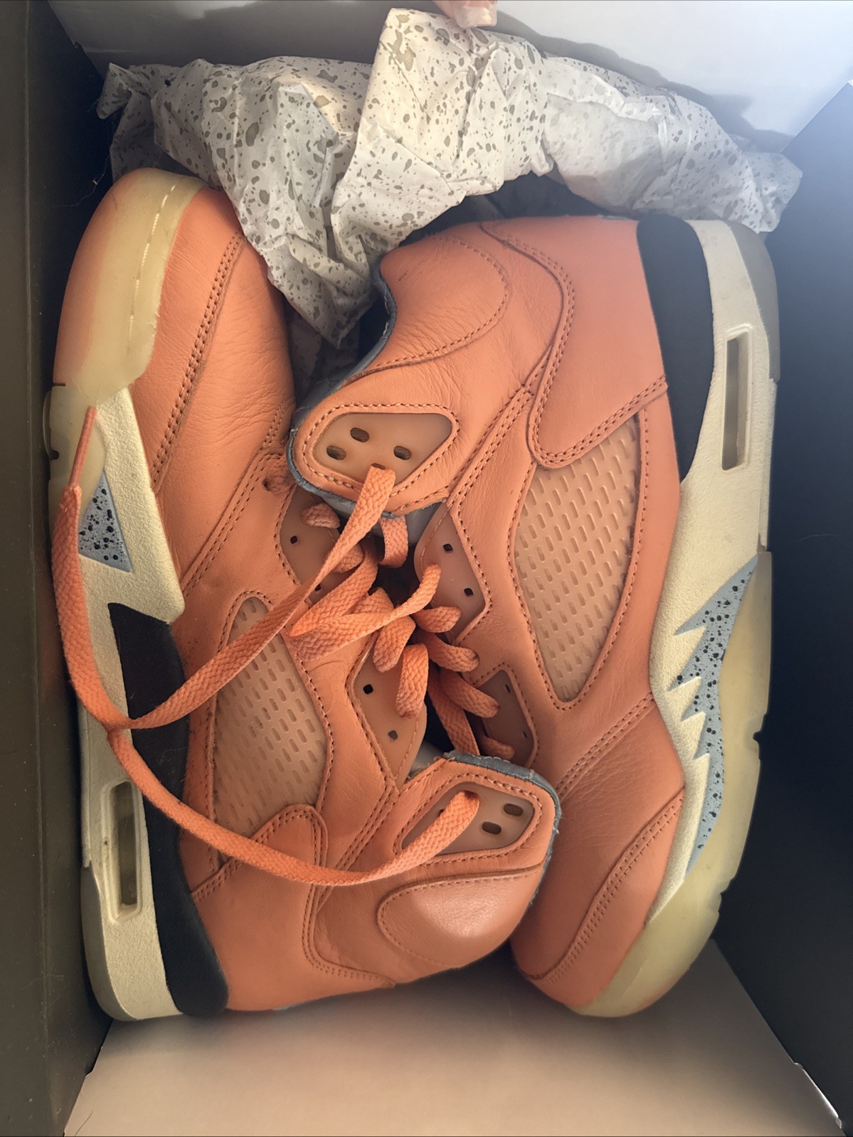 DJ Khalid Jordan 5 Retro “we are the best” collection