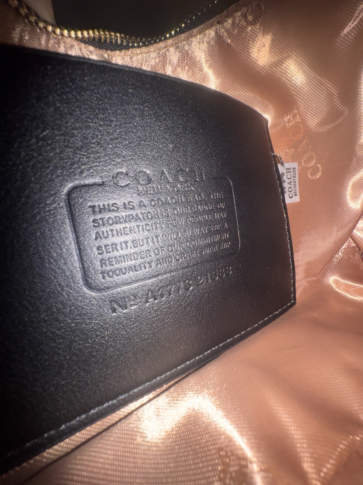 Coach Teri Shoulder Bag