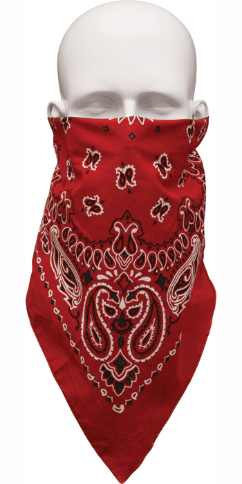HAVAHANK 2-Sided Cotton PAISLEY BANDANNA BANDANA Head Neck Face Mask Wrap Scarf