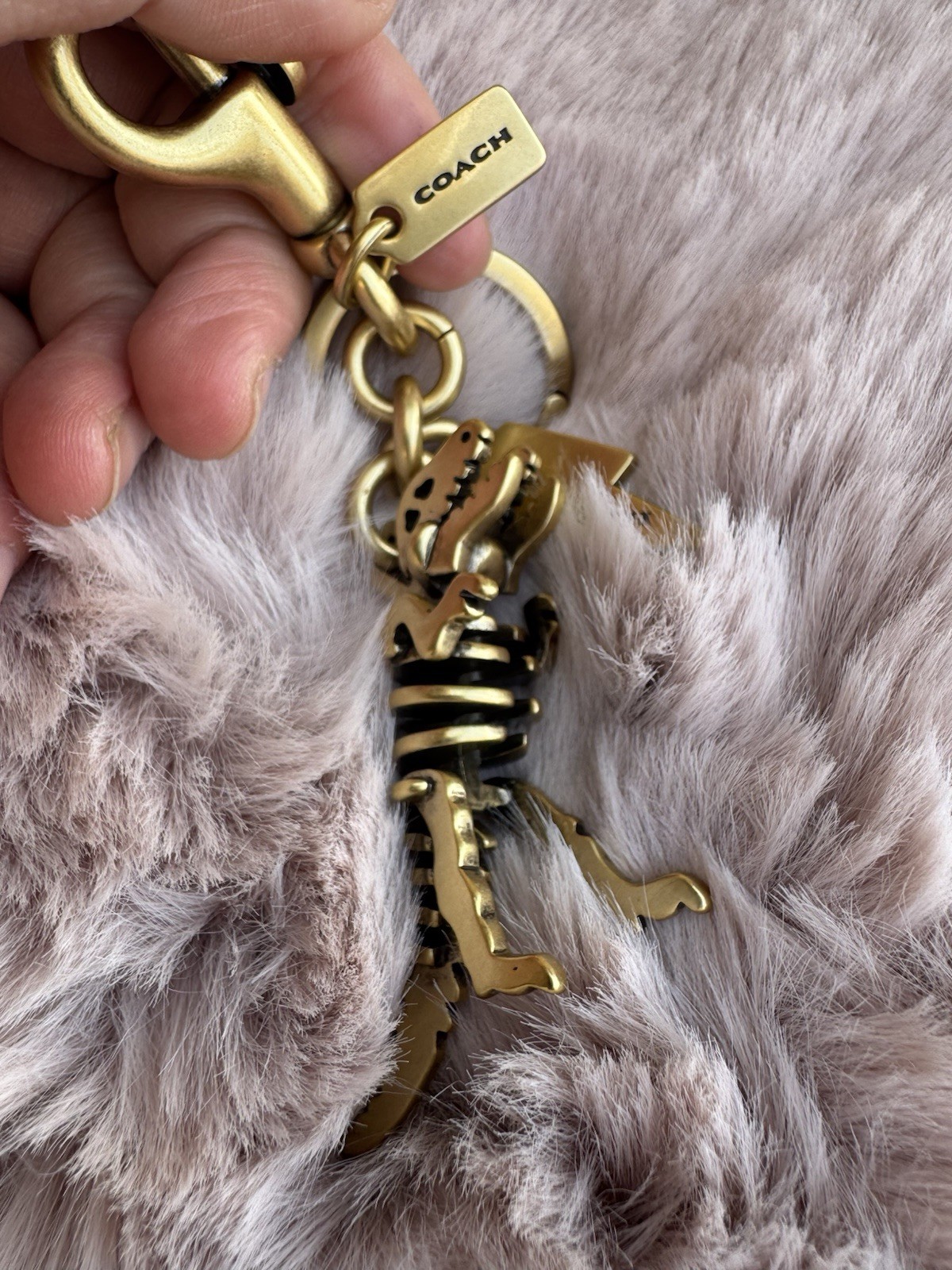 Coach Metal Small Rexy T-Rex Skeleton Puzzle Bag Charm Keychain CCE75 Brass