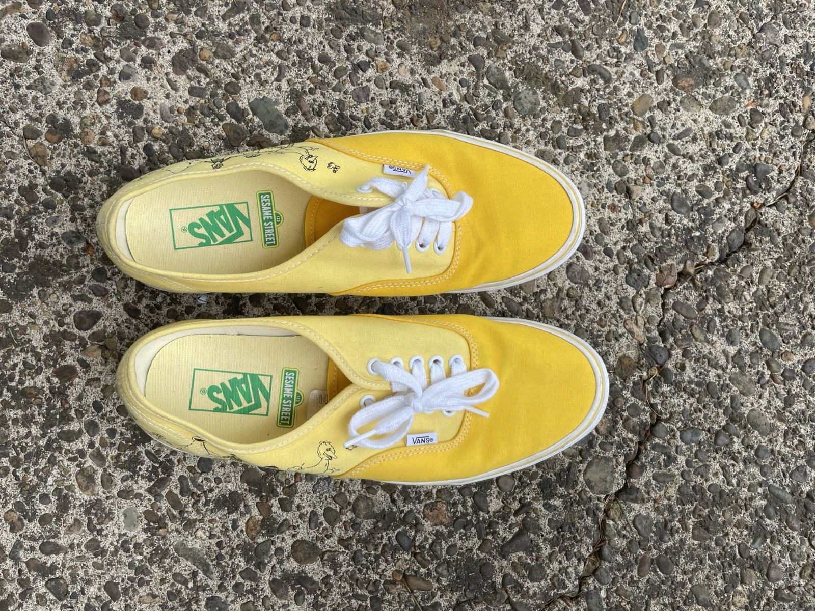 RARE VANS X SESAME STREET AUTHENTIC MEN’S SZ 11 SHOES VN0009PVYLW1