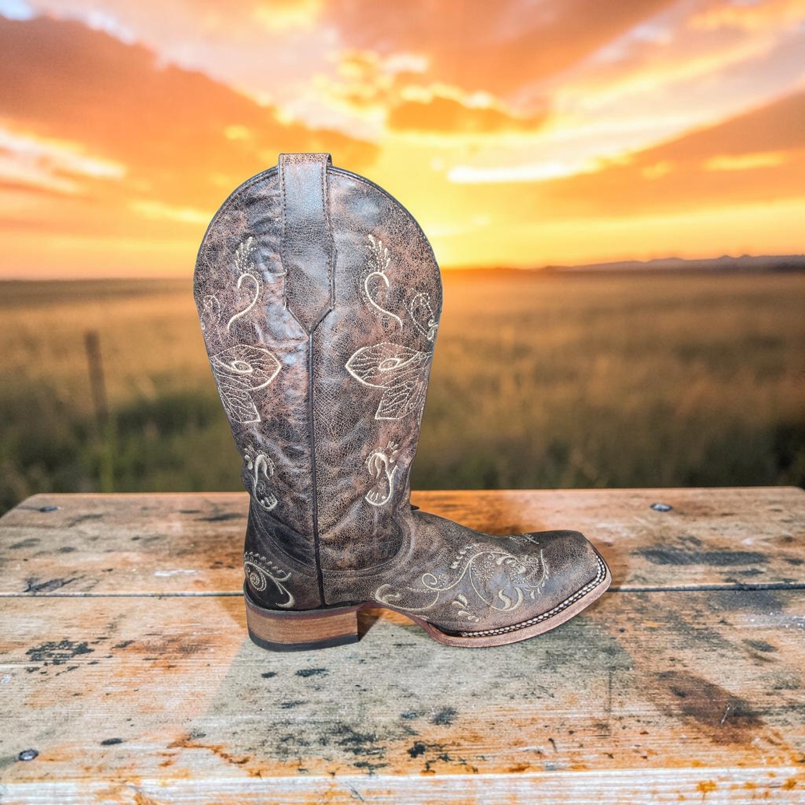 Circle G Women’s 10 M Dragonfly Embroidered Cowgirl Boot – Square Toe – L5079