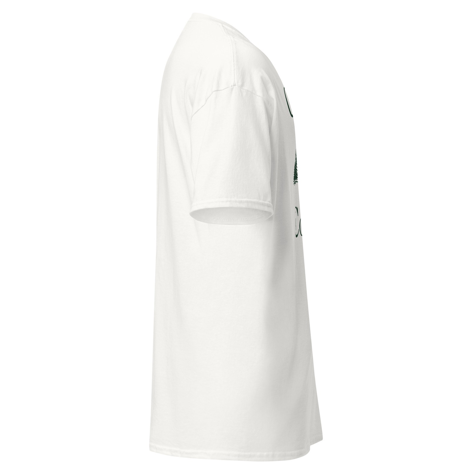 Meegan Mountain Unisex classic tee