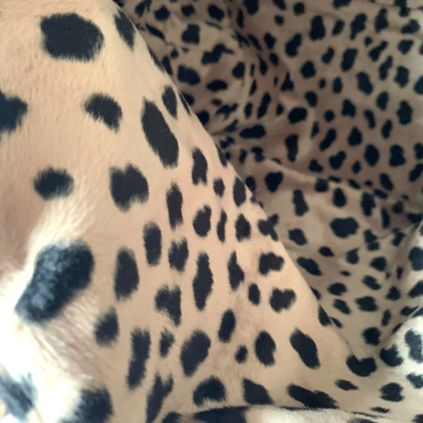 Alexia Hollinger Paris Leopard Print Interior Designer Handbag Tote Magnet Close