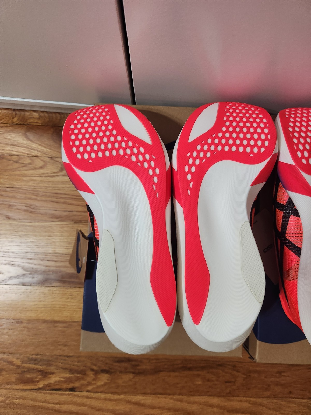 Size M11/W12.5 – ASICS Metaspeed Sky Tokyo Flash Red