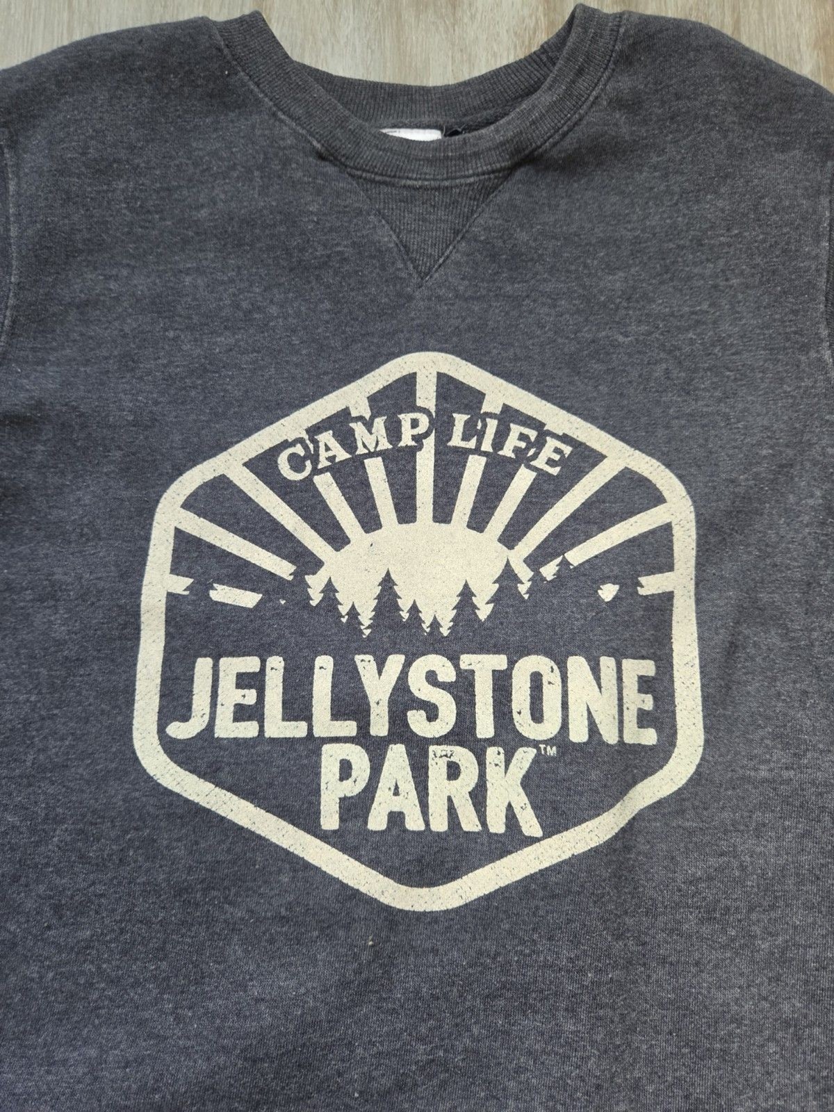 Yogi Bear Jellystone Park Camp Life Graphic Sweatshirt Gray Fleece Women’s M GUC