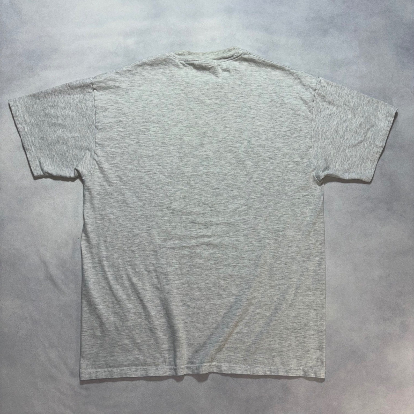 Vintage 90’s United States Olympic Luge Team T-Shirt Men’s Large Gray USA Y2K