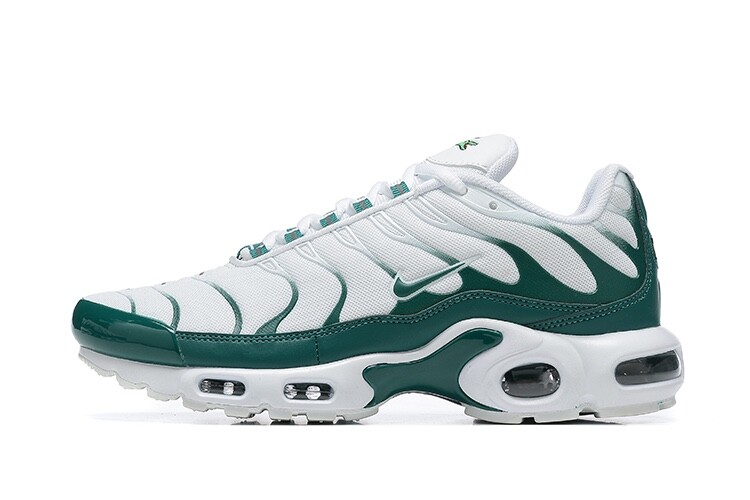 Nike Air max tn concept white green