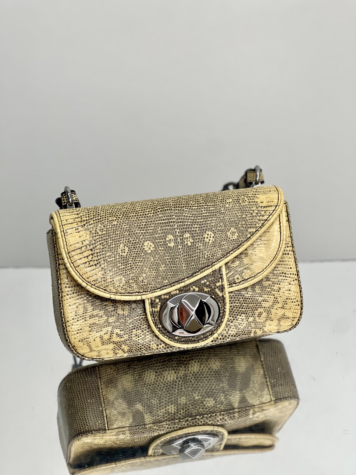 Dior Limited Edition Lizard Skin Shoulder Bag Black Pre-Owned France