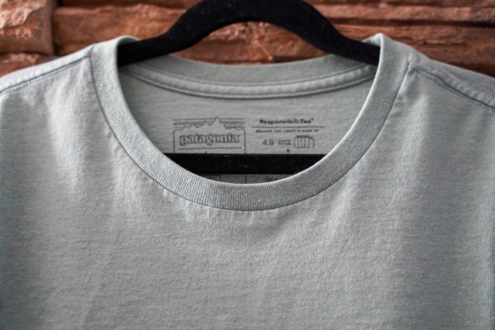 Patagonia Responsibili-Tee Men’s M Sage Green Cotton Crew Neck Logo Graphic Tee