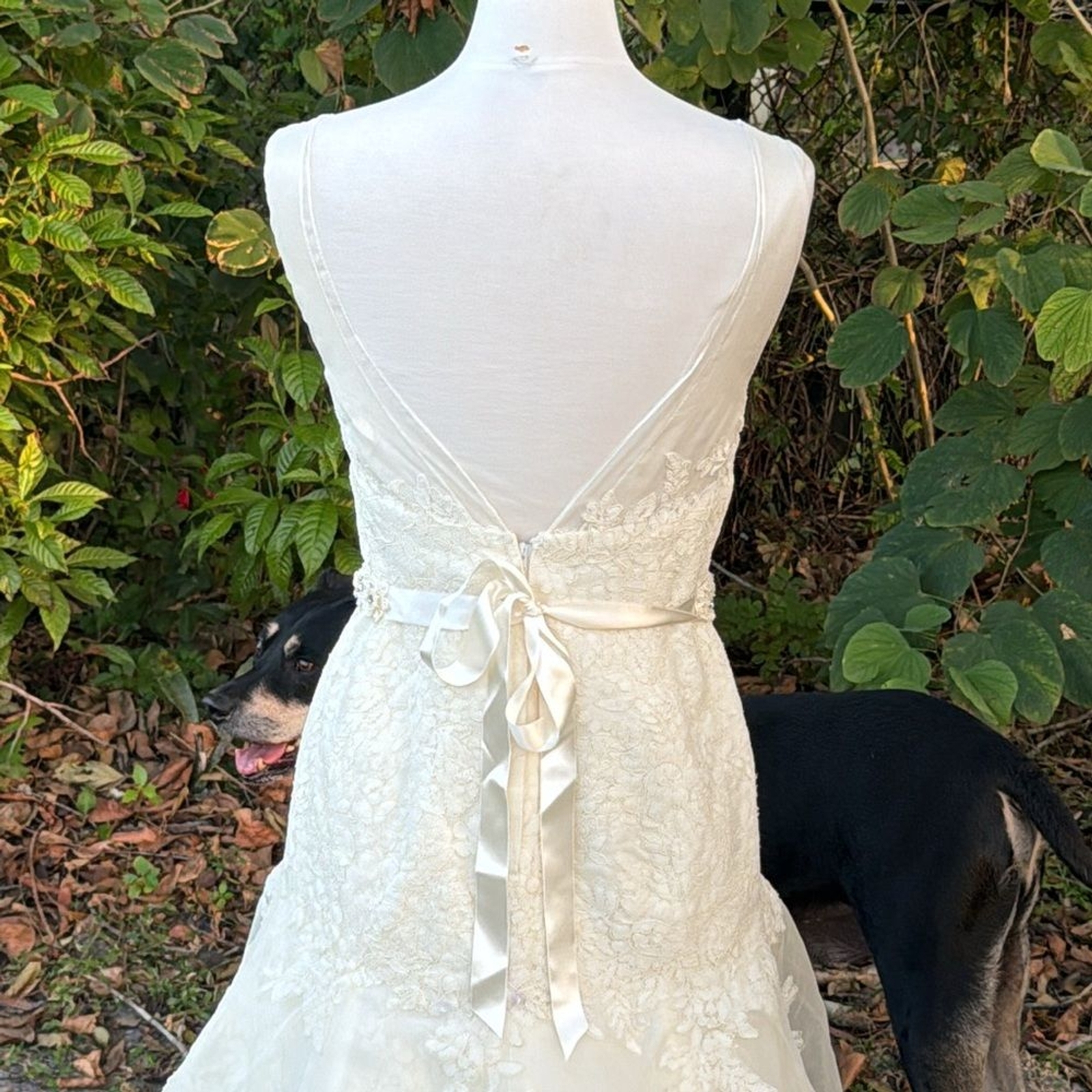Watters Bridal Gown, style 9077B, drop waist, full skirt, size 10