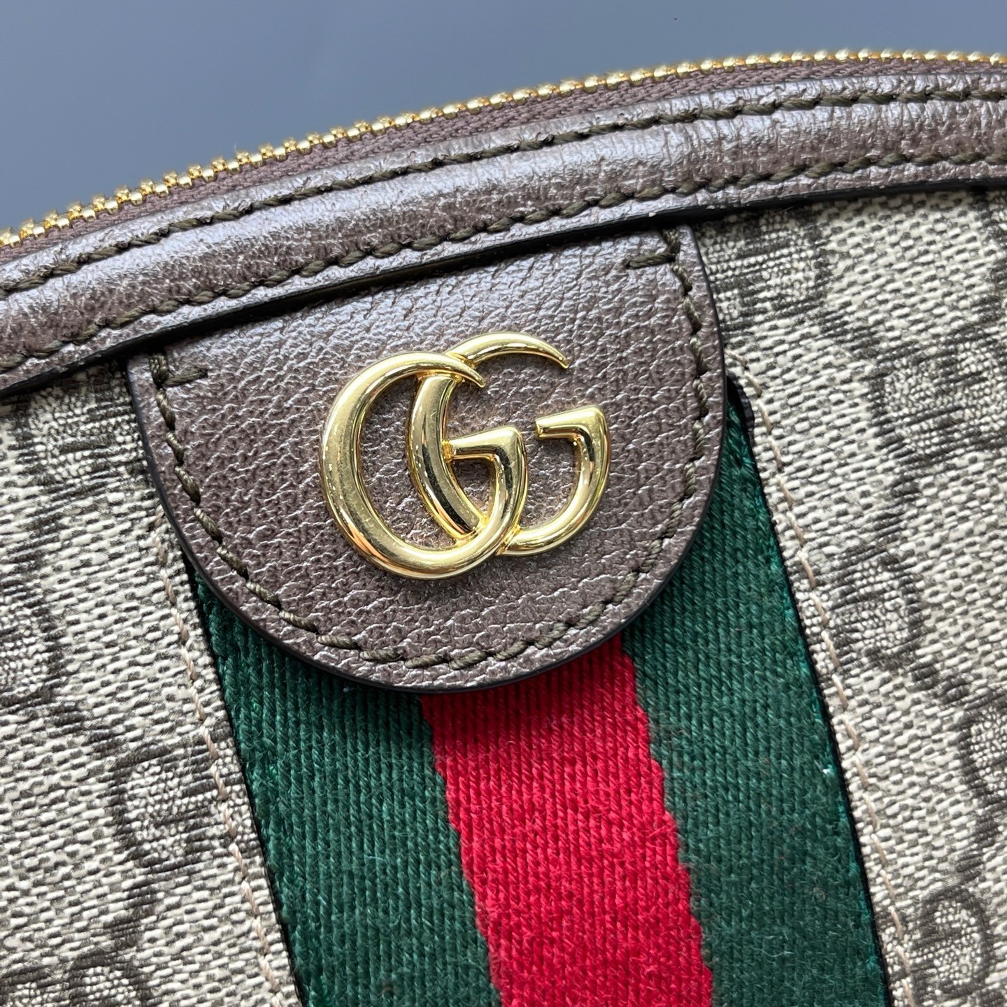 Gucci Pre-Owned Authentic Ophidia Collection Crossbody Bag Monogram Shell
