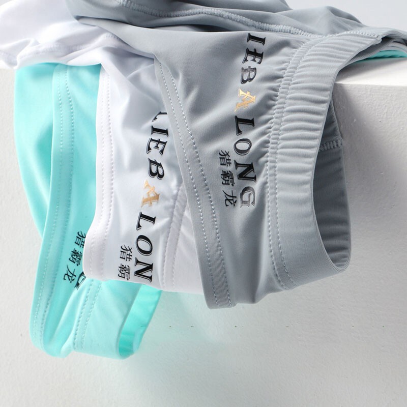 Mens Ice Silk Briefs Sexy Low Waist Bikini Panties Pouch Breathable Underwear US