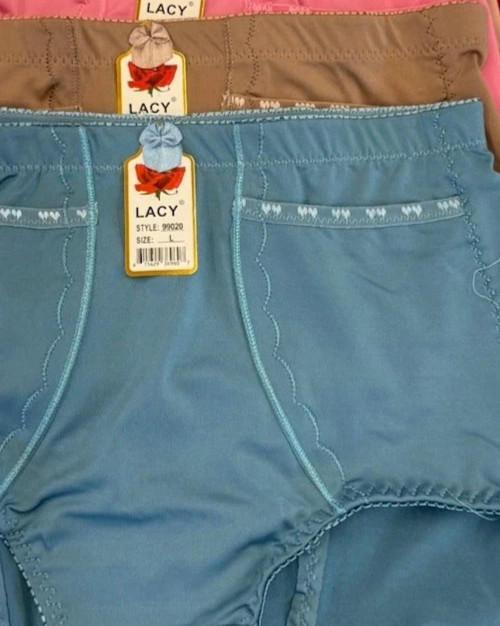 2 or 6 High Waisted Briefs Girdles Panties Tummy Control 020 Travel Safe Pocket