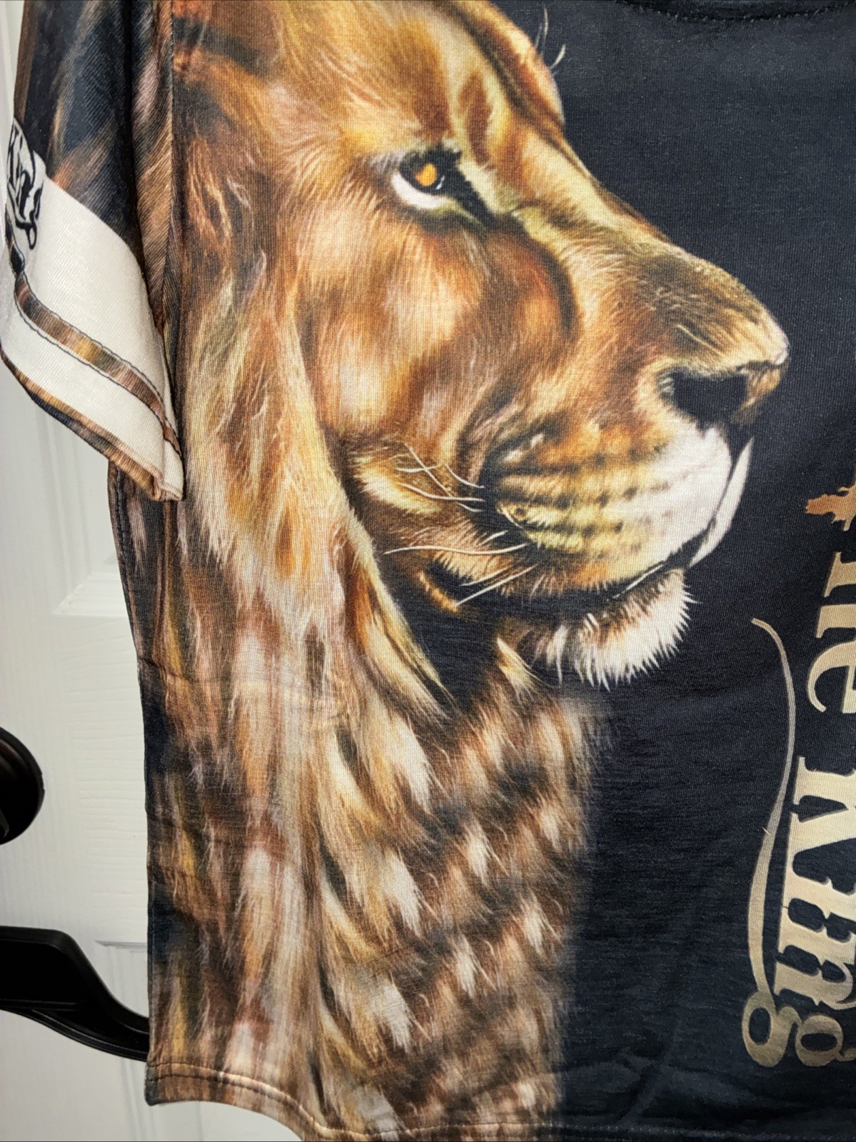 Boys Short Set Size5-6 Y The King Loin 🐅👀👑 Cute
