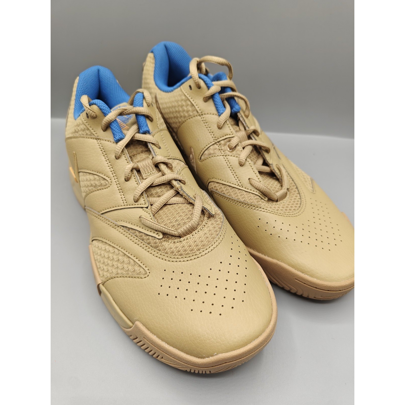 Nike Men’s Court Lite 4 HC Size 11.5 Parachute Beige HF7832-200 No Box Lid