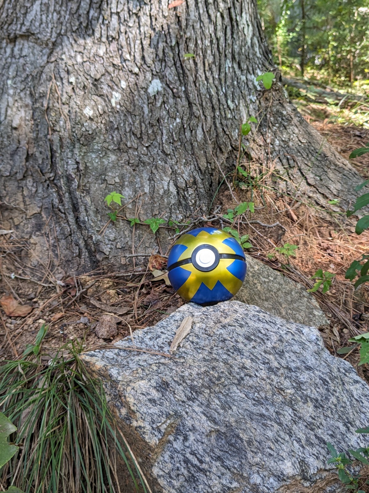 Pokemon Poke ball Decor Costume Prop Cosplay Collectible Toy