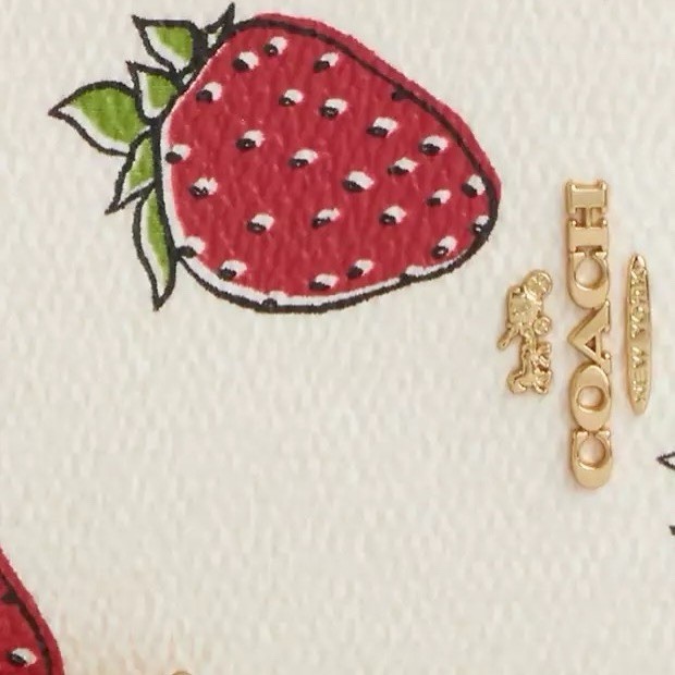 NWT Coach Zip Card Case With Strawberry Print Gold/Chalk Multi Car32