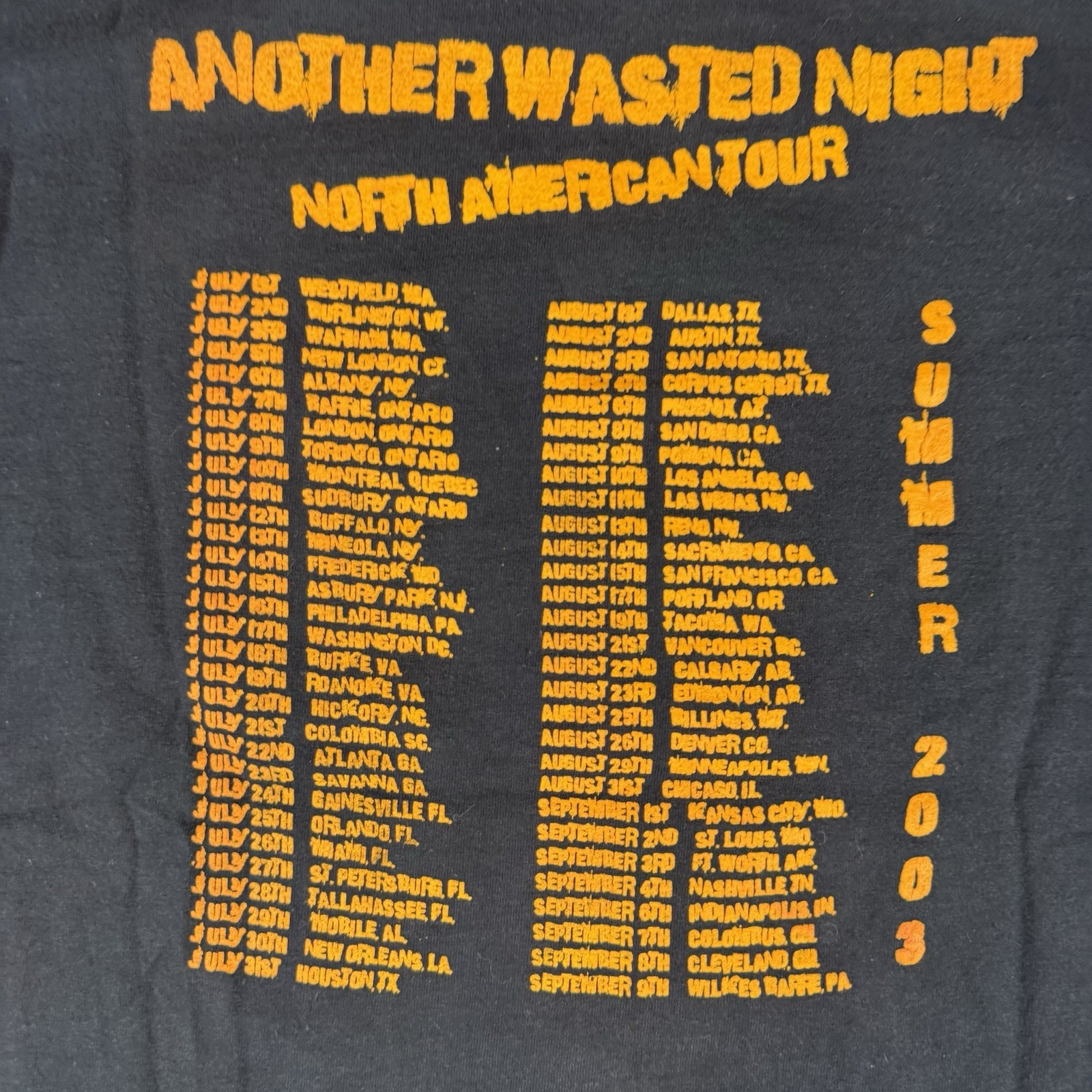 VTG 2003 Punk T-Shirt The Virus Another Wasted Night Tour Distressed Sz M Black