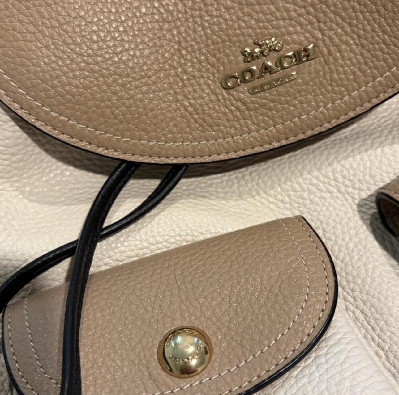 Coach Pennie Backpack Bag Colorblock In Pebbled Leather Cream Tan 6146