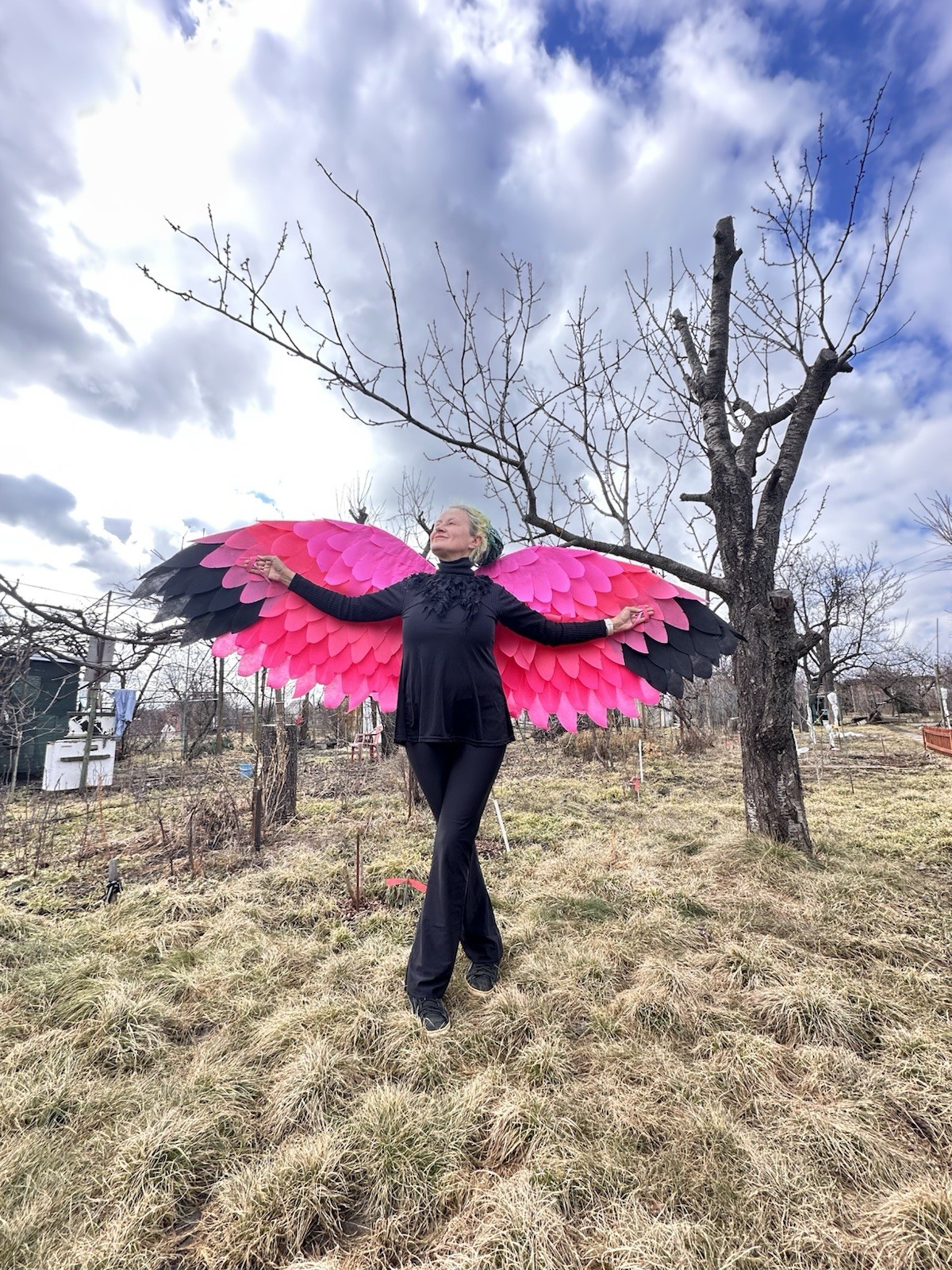 Pink Flamingo Wings Costume