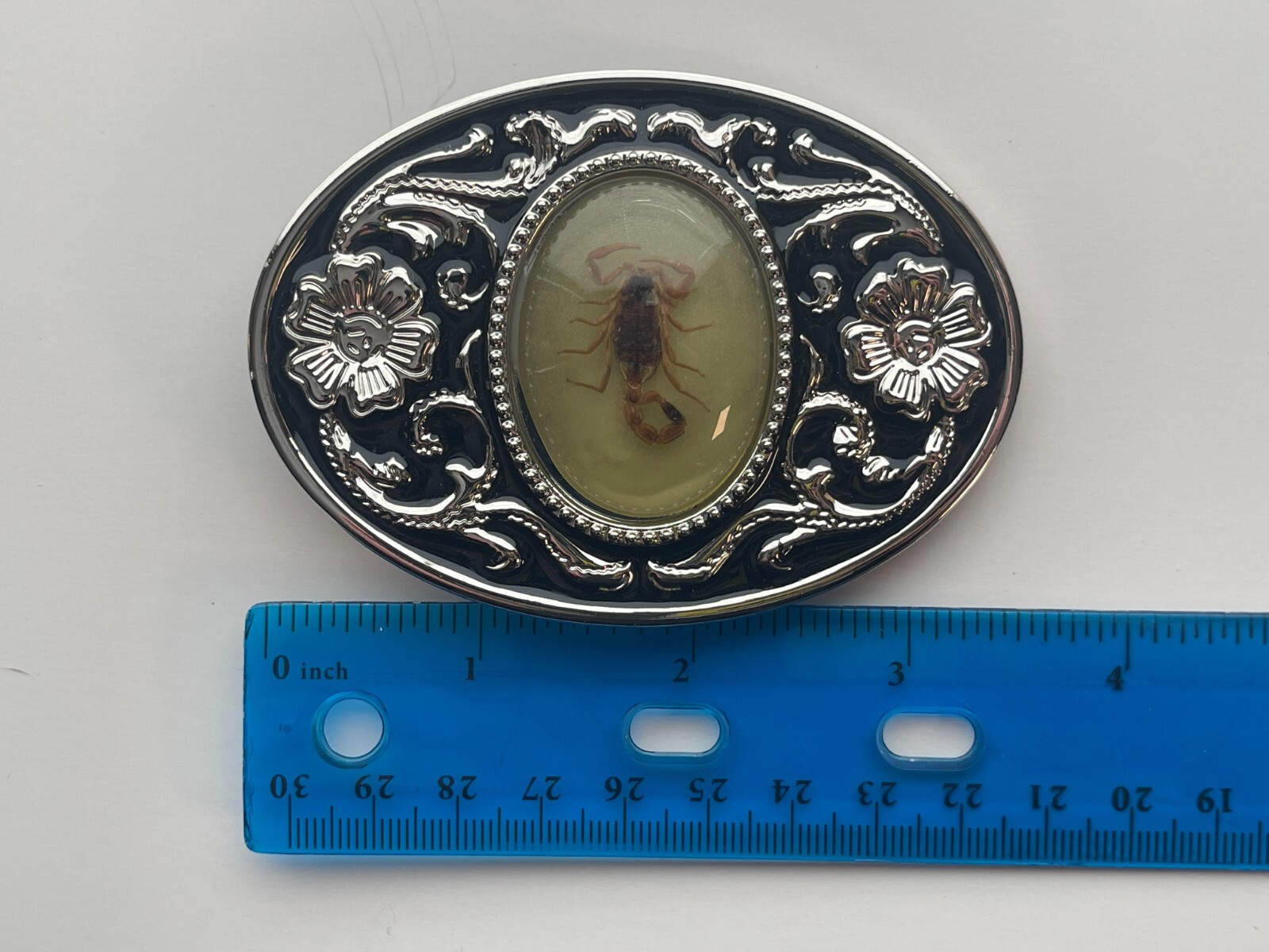 Real Scorpion Belt Buckle Glow in the Dark – Insects in Resin – Taxidermy Gifts