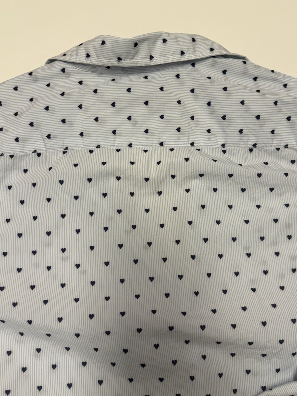 Frank & Eileen Eileen Heart Print Button Front Shirt Blue Stripe Large
