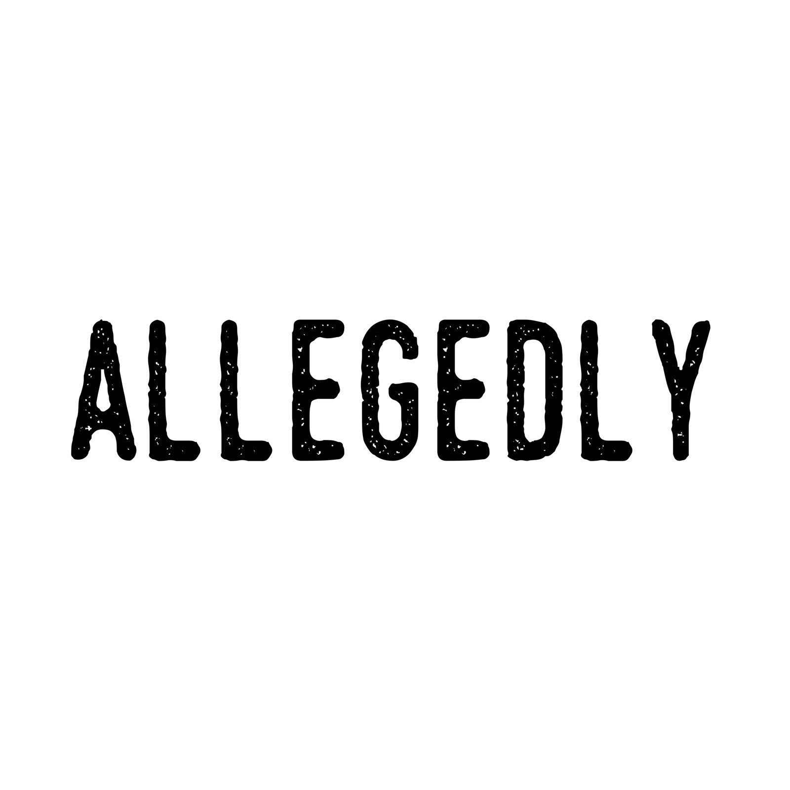 “Allegedly” Screen printed 100% cotton T-shirt hand made California Size L