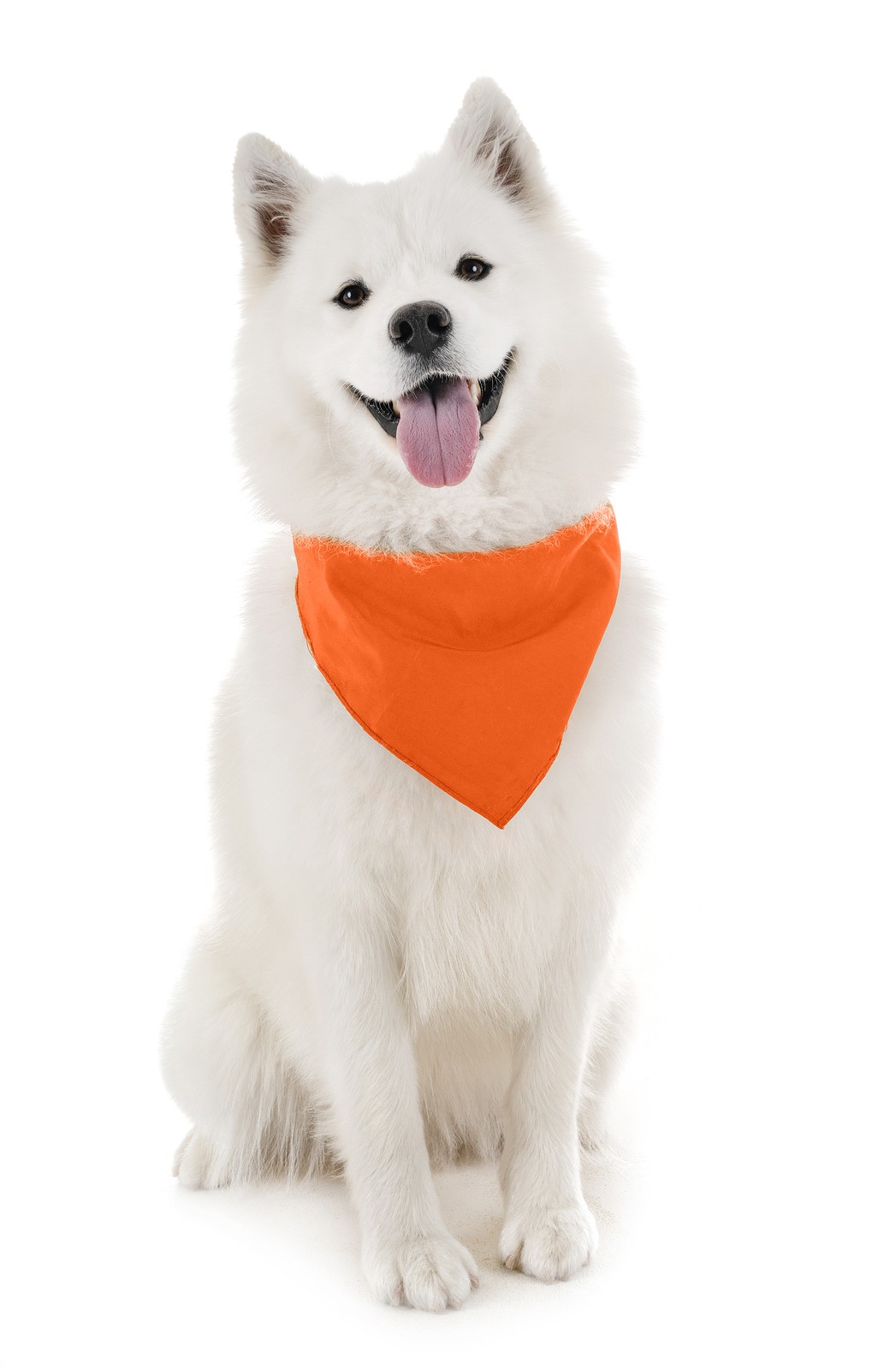 Pack of 8 Triangle Bandanas – Solid Colors and Polyester – 30 in x 20 in x 20