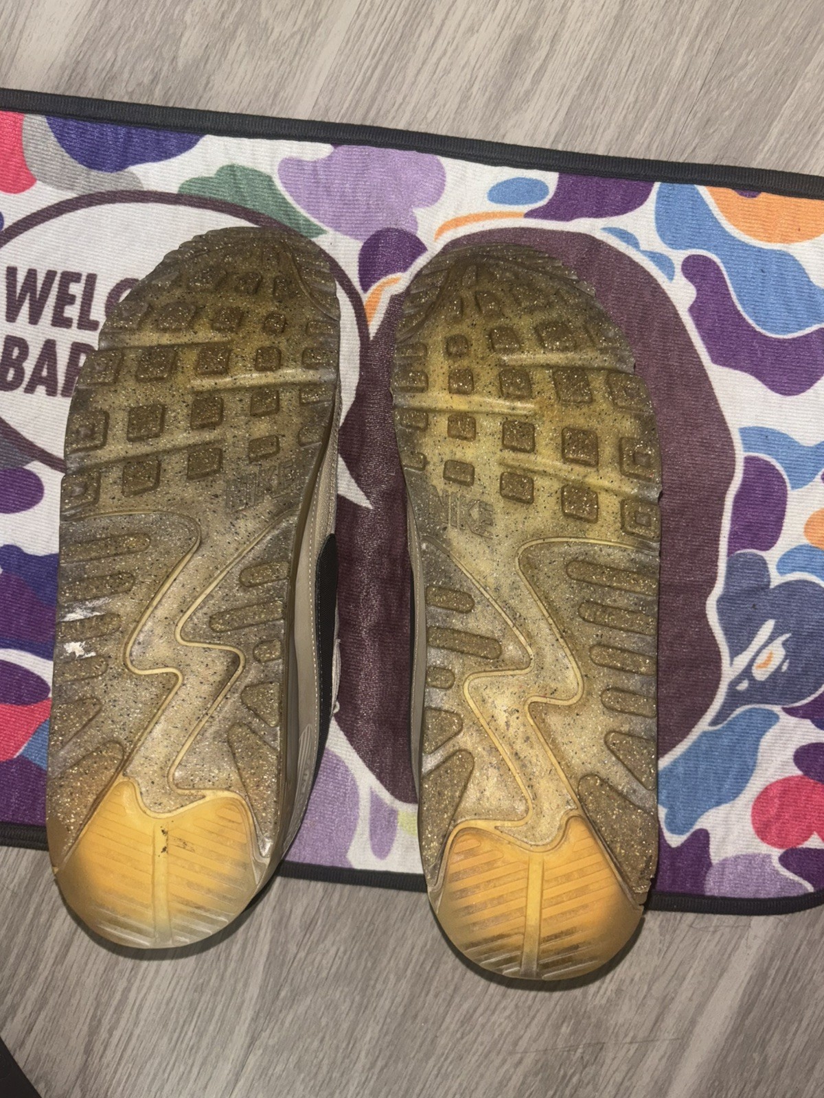 Size 13 – Nike Air Max Terrascape 90 Rattan