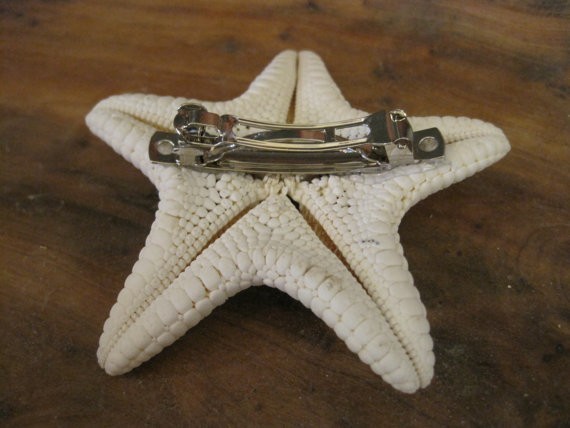 White Common Starfish Barrette – Beach Wedding – Starfish Hair Clip – Hair Pin