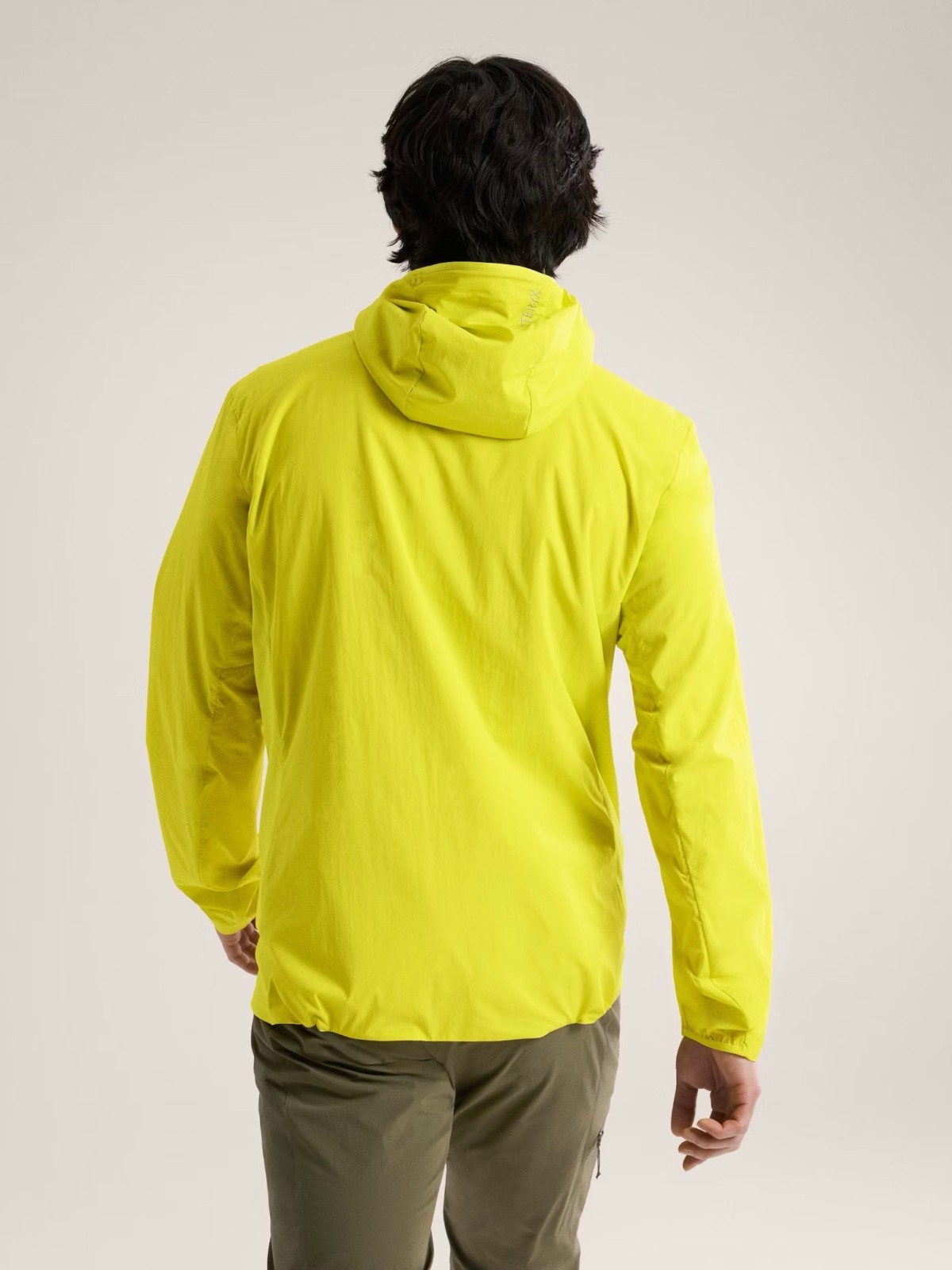 NWT Arc’teryx Euphoria Atom SL Hoody Zip Up Jacket sz L