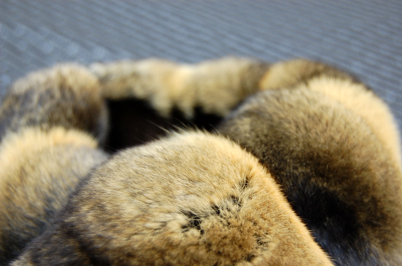 Luxury Chinchilla Fur Scarf with Nutria Fur Lining, Handmade in Japan, 60cm