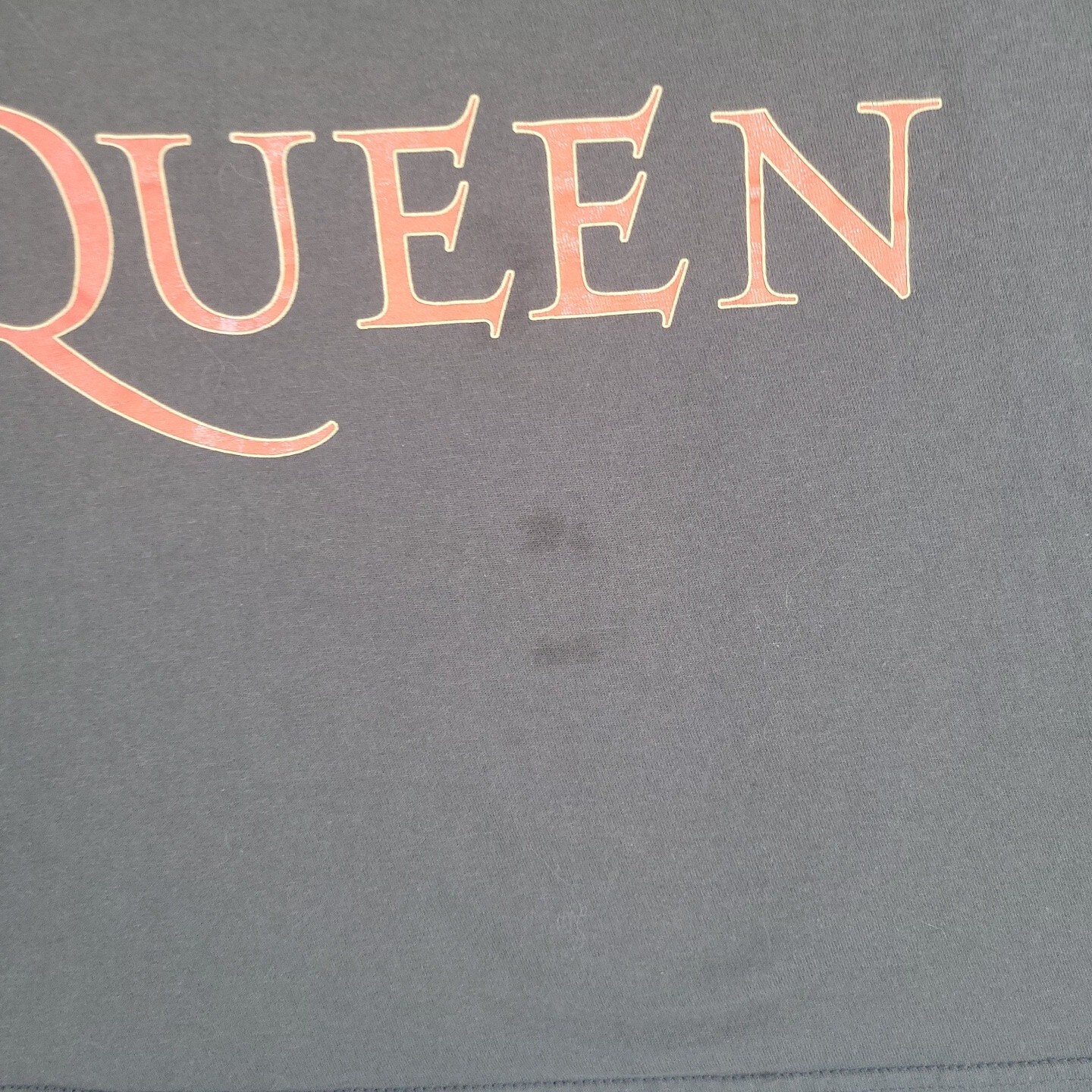 Queen T-Shirt Medium Gray Official Merch Lions Dragon Band Tee Music Album