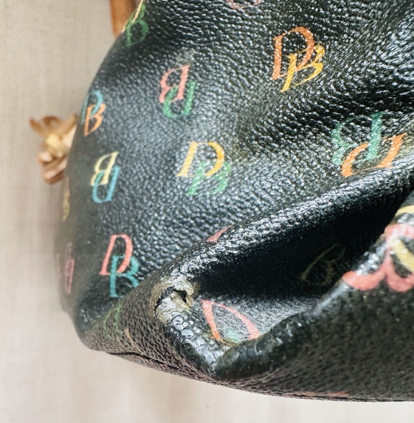 Dooney & Bourke Black/Multicolor Logo Medium Tote Double Handle Tassel Charm