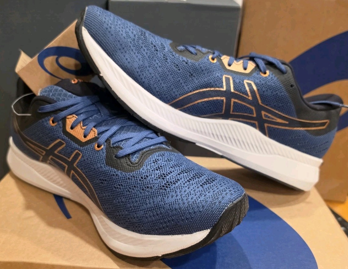 ASICS Ezeride Men’s Running Shoes Size 11 |Grand Shark Pure Bronze 1011B788-400