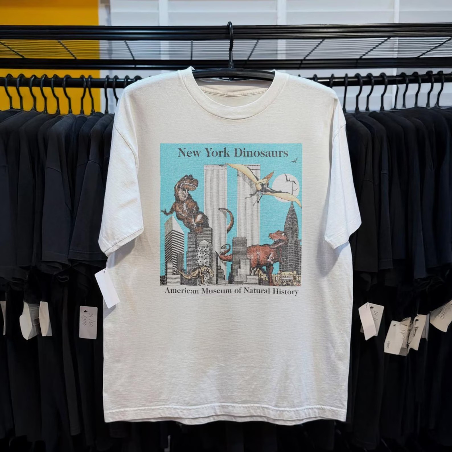 New York Dinosaurs Museum Graphic White Unisex T-Shirt Vintage – S763