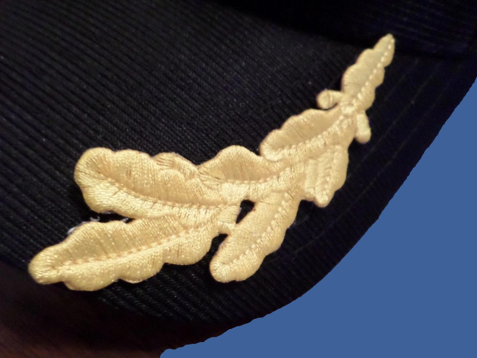 U.S MILITARY EMBROIDERED ARMY SCRAMBLED EGGS OFFICERS FRETTING IRON ON PATCHES