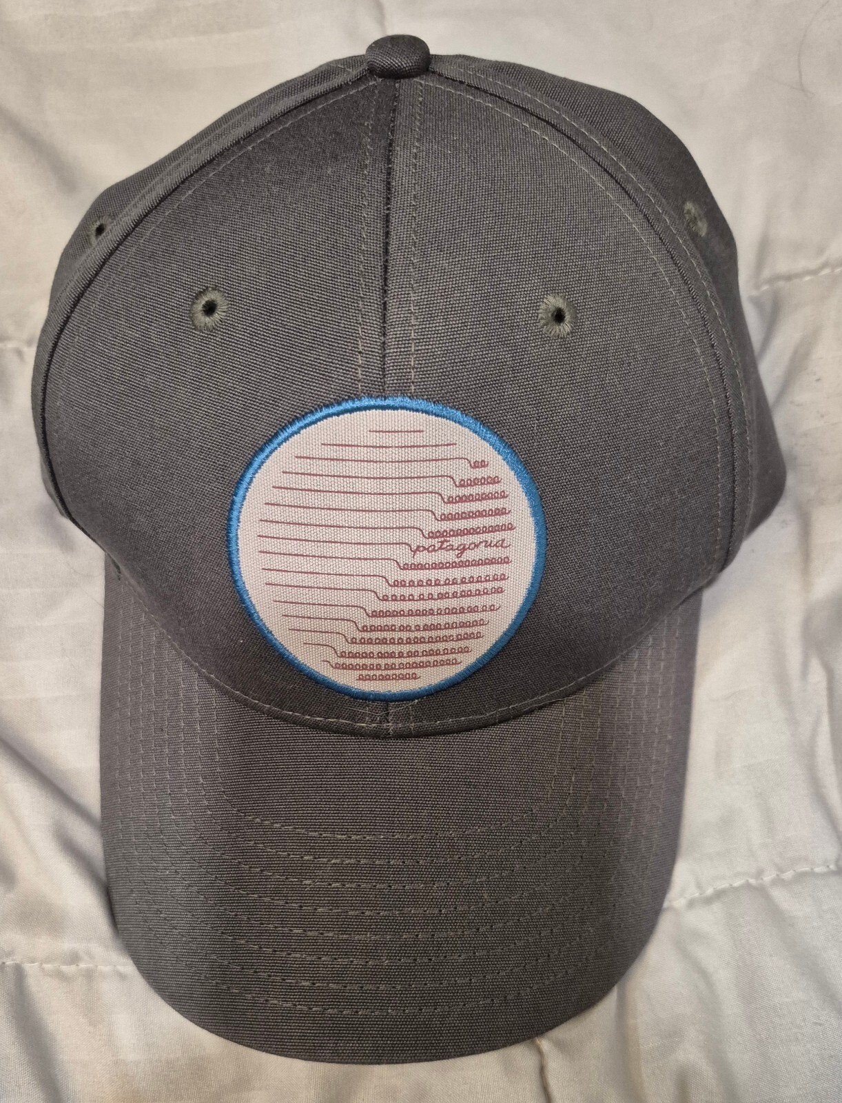Patagonia “All Marching In” Roger That Hat