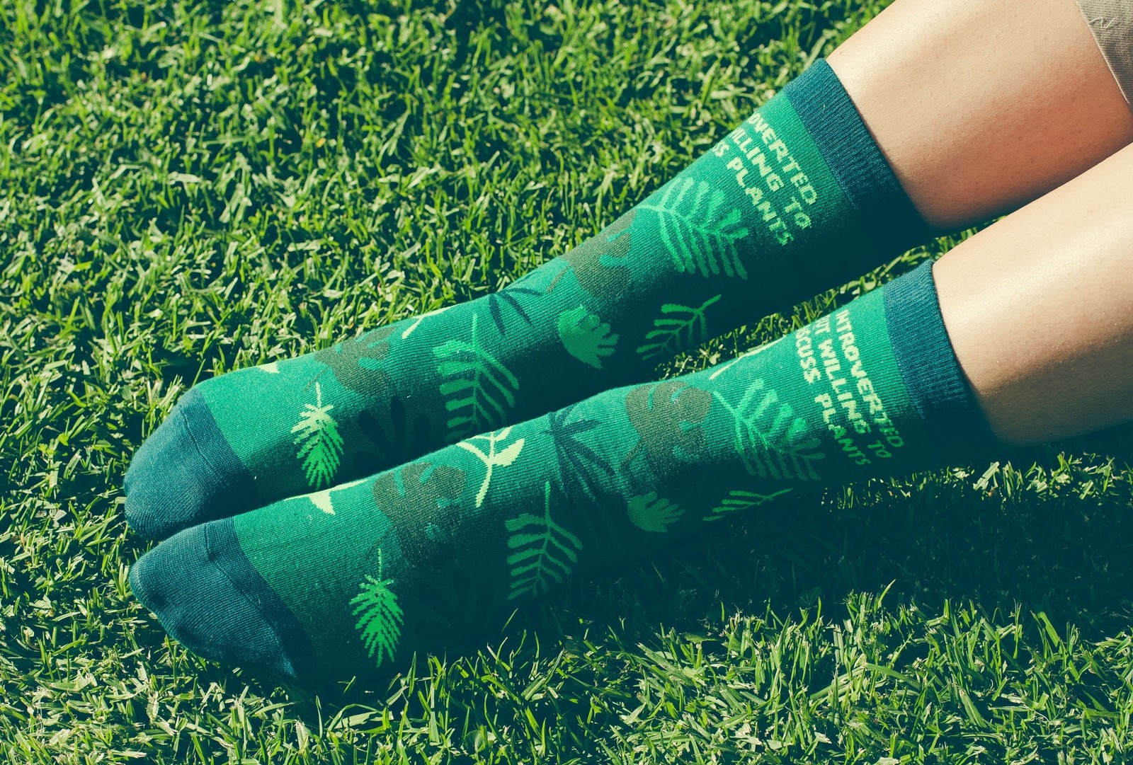 Women’s Introverted But Willing to Discuss Plants Socks Funny Gardening House