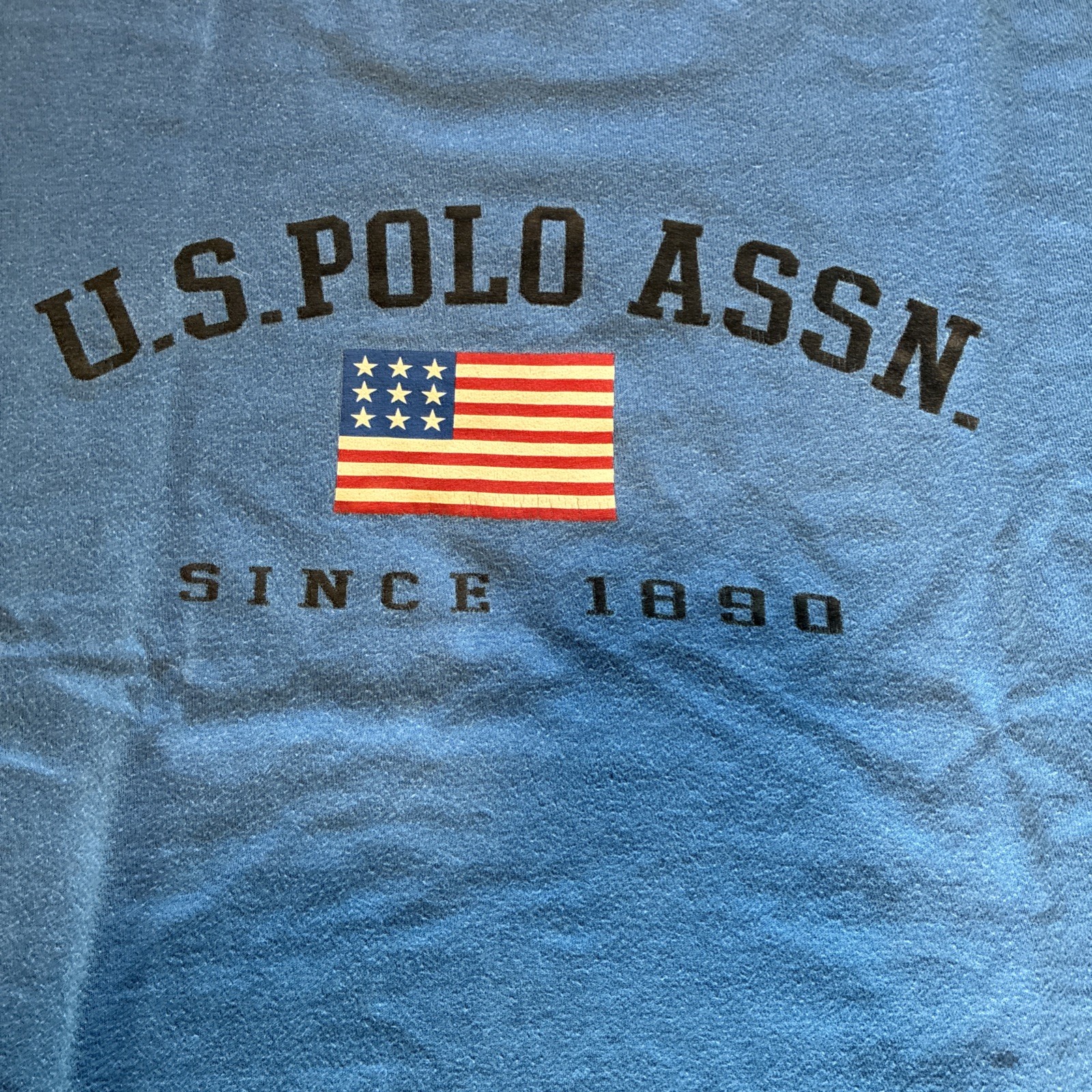 US Polo Assn Shirt Mens Large L Blue USPA American Flag Graphic Tee 114559ZB